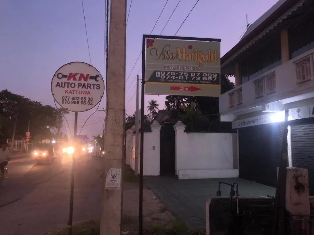 Marigold Negombo Bed & Breakfast